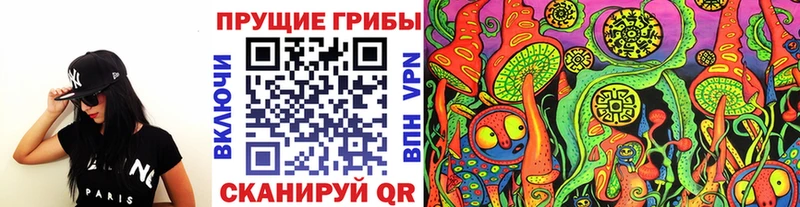 Купить  Берёзовка  Галлюциногенные грибы Cubensis 