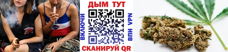 Купить  Берёзовка  Конопля AK-47 